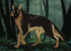 animal_genitalia balls canid canine canis domestic_dog feral forest genitals german_shepherd herding_dog hi_res male mammal midzushiro pastoral_dog penis plant sheath solo solo_focus standing tree