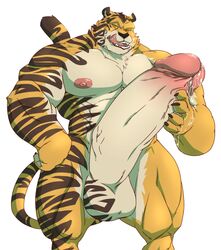 1boy 2015 abs anthro balls biceps big_balls big_muscles big_penis black_fur black_nose claws erection fangs feline fur hand_on_penis huge_balls hyper hyper_balls hyper_muscles hyper_penis kanderous looking_at_viewer male male_only mammal masturbation muscular muscular_male nipples nude open_mouth orange_fur pecs penis precum saliva sharp_teeth simple_background solo standing stripes taoren teeth thick_penis tiger tongue tongue_out vein veiny_penis white_background white_fur