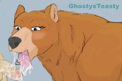 absurd_res after_sex anthro balls bear blush bodily_fluids brown_bear brown_body cum cum_in_mouth cum_inside duo female feral genital_fluids genitals ghostyxtoasty grizzly_bear hi_res human human_on_feral humanoid_genitalia humanoid_penis interspecies male male/female mammal oral penis teeth tongue tongue_out ursine zoophilia