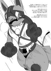 1boy canine feral fur gag kurohane_karasu lucario male male_only mammal monochrome nintendo open_mouth penis pokemon pokemon_(species) saliva simple_background solo spanking text translation_request video_games whip