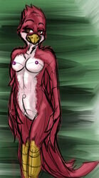 2016 anthro avian avian_(starbound) beak bird blush breasts brown_eyes feathers female maladash nipples nude red_feathers rule_63 simple_background smile solo starbound talons tatsuchan18 video_games white_feathers