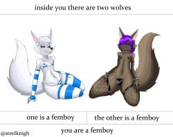 2boys anthro armwear black_sclera blue_eyes brown_body brown_fur brown_hair bulge femboy fishnet_armwear fishnet_legwear fishnet_stockings fishnets looking_at_viewer male meme purple_eyes purple_hair simple_background spiked_bracelet spiked_collar steelknigh stockings thick_thighs thighhighs watermark white_body white_fur white_hair wolf wolf_ears wolf_humanoid wolf_tail