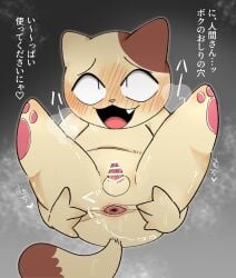 anal_request anthro anus belly blush bodily_fluids censor_bar domestic_cat felid feline felis genital_fluids hi_res japanese_text legs_up male mammal musk musk_clouds pawpads precum presenting presenting_anus reset_r18 slightly_chubby smile solo spread_anus spread_legs spreading text