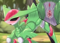 future pokemon from nintendo by zerokun135