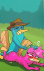 anthro ass beak blush closed_eyes disney female grass hat male mammal perry_the_platypus phineas_and_ferb sex shadman straight teeth