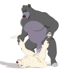 2boys absurd_res anal anal_sex anthro balls baloo black_bear canid canine canis dead_source disney duo gay hi_res male male_only mammal maychin penetration penis testicles the_jungle_book ursid ursine wolf yaoi