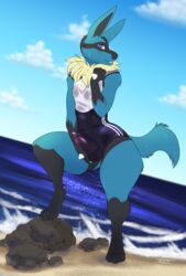 1boy balls beach blue_eyes clothing erection iko looking_at_viewer lucario male male_only nintendo penis pokemon pokemon_(species) seaside solo swimsuit video_games