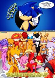 amy_rose blaze_the_cat bunnie_rabbot fiona_fox furry furry_only hershey_the_cat mess_3 mobius_unleashed pink_hair sally_acorn shade_the_echidna sonic_(series) tagme tikal_the_echidna