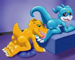 Agumon Rule 34 Image
