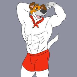 1boy abs anthro biceps disney dodger fur furry looking_at_viewer male male_only oliver_and_company simple_background smile solo unknown_artist white_fur