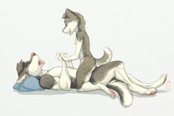 anthro blue_eyes breasts canine closed_eyes cowgirl_position dog duo female husky lying male mammal mochashep nude on_back on_top penetration sex small_breasts smile straight tongue tongue_out young