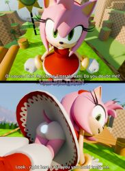 amy rose from sega by visualtoon