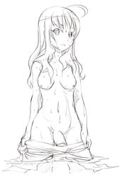 1futa arika_yumemiya breasts calpara futa_only futa_sans_balls futanari intersex long_hair mai_otome monochrome my-otome nude pants_pull penis solo solo_futa topless undressing water wet