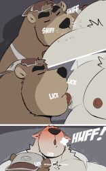 2024 abs absurd_res anthro anthro_on_anthro anthro_on_top areola bara bear biped blush bound brown_body canid canine canis chest_tuft clothed clothing comic crotch_tuft detailed detailed_background digital_media_(artwork) domestic_dog dominant dominant_anthro dominant_male duo embarrassed forearm_muscles fur hair hi_res interspecies licking male male/male male_on_top mammal monotone_body multiple_scenes musclegut muscles muscular muscular_anthro muscular_male neck_tuft nipple_fetish nipple_lick nipple_play nipples nude on_top onomatopoeia overweight overweight_anthro overweight_male partially_clothed pecs pivoted_ears presenting rough_sex seductive sequence sex sound_effects submissive submissive_male teasing text tongue topless tuft ursine vitashi yaoi