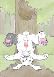 2013 4_fingers 4_toes after_sex anthro anus armpit_hair ass backsack balls barefoot blank_stare chest_tuft creepy cum cum_inside cum_on_ass cum_on_body cum_on_face detailed_background erection forest fur grass hi_res hindpaw hole_(feature) humanoid_penis kedamsky lagomorph looking_at_viewer lying male male_only mammal markings nightmare_fuel nude open_mouth outside pawpads paws penis presenting presenting_hindquarters rabbit slugsdog smile socks_(marking) soles solo spread_legs spreading teeth tentacle toes tree tuft upside-down usavich vein veiny_penis white_fur