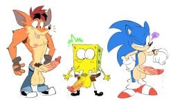crash bandicoot from crash (series) by vgls4