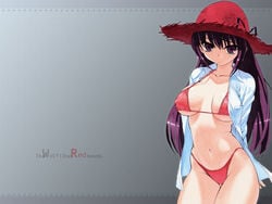 1girls bikini clothing erect_nipples female grimm's_fairy_tales hat inu777 little_red_riding_hood little_red_riding_hood_(character) little_red_riding_hood_(grimm) open_clothes open_shirt purple_eyes purple_hair shirt solo straw_hat swimsuit wallpaper