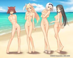 4girls 5:4 animal_ears barefoot beach black_hair blanc_neige blonde_hair breasts cat_ears elf elwing everyone female female_only innie_pussy mao_(shining_tear) multiple_girls nude nude_filter photoshop red_hair ryuna shining_(series) shining_tear sky small_breasts taka_tony uncensored water