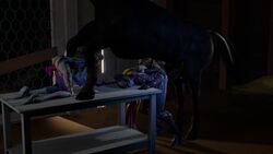 3d Rule 34 Video