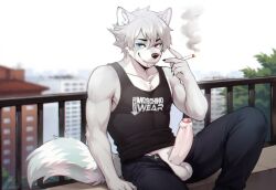 akaro_(lukiro) anthro bottomwear canid canine canis cigarette clothing erection foreskin genitals hi_res humanoid_genitalia humanoid_penis hybrid lukiro male mammal muscular pants penis piercing procyonid raccoon solo wolf