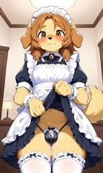 ai_generated bell_collar blush chastity_cage desk femboy golden_retriever good_boy indoors lamp maid male male_only self_upload sissy submissive