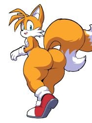 tails the fox from sonic (series) by ryuukane