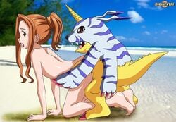 ass bbmbbf beach cloud digihentai digimon digiphilia exhibitionism fangs female flat_chested forced gabumon horn human interspecies male mammal mimi_tachikawa palcomix palcomix_vip penetration ponytail public pussy reptile sand sea seaside sky straight tied_hair tongue tongue_out tree vaginal_penetration water wolf_skin