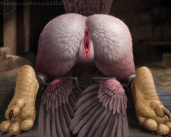 animal_genitalia anthro anus avian black_claws bondage bound claws feathers female female_anthro genital_slit genitals hay hay_bale hi_res himeragoldtail humanoid_genitalia humanoid_vulva inner_labia inside lying obscured_face on_front pink_body pink_feathers rear_view red_inner_labia red_vulva restraints solo spreader_bar tail tail_feathers toe_claws vagina vulva white_body white_feathers wing_bondage