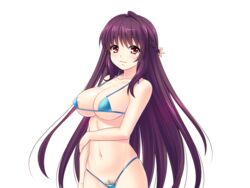 akagi_rio areola_slip areolae bare_arms bare_legs bare_shoulders bikini blue_bikini blush braid breasts cowboy_shot eyebrows eyebrows_visible_through_hair female game_cg large_breasts legs long_hair looking_at_viewer micro_bikini mound_of_venus navel pubic_hair purple_hair red_eyes simple_background smile solo standing swimsuit tanetsuke_kyoushitsu thighs tied_hair white_background