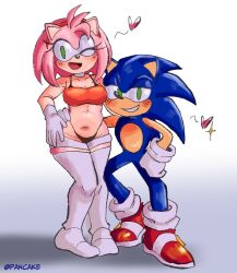 amy rose from sega by pancake (artist)