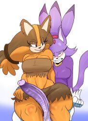 blaze the cat from sonic (series) by susknuckles