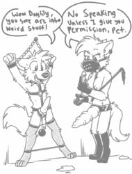 anthro balls bondage bondage_gear bound breasts candle canine domination ear_piercing erection female femdom fox gatoamante male mammal muzzle_(object) nipples penis piercing sketch tagme torture wax whip wolf