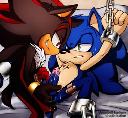 anal angelofhapiness balls blue_fur bound chains cum fingering fur furry furry_ears furry_tail gay hedgehog male male_only mammal penis shadistic shadow_the_hedgehog sonic_(series) sonic_the_hedgehog tail vibrator yaoi