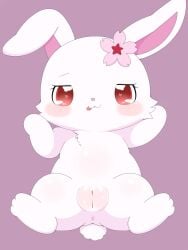 3:4 accessory anthro anus azuo blush female female_anthro flower flower_in_hair fur genitals hair hair_accessory half-closed_eyes heart_eyes heart_symbol hi_res jewelpet lagomorph leporid lying mammal narrowed_eyes on_back pink_background plant plump_labia pussy rabbit red_eyes ruby_(jewelpet) sanrio sega sega_fave simple_background solo spread_legs spreading tongue tongue_out white_body white_fur