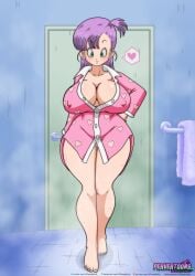 bulma_briefs dragon_ball dragon_ball_(classic) exposed_cleavage innie_pussy pajamas pervertoons purple_hair riffsandskulls shower