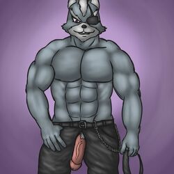 1boy 2016 abs anthro belt biceps canine chains clothed clothing collar eye_patch eyewear fur grey_fur looking_at_viewer male male_only mammal muscular muscular_male nintendo pants pecs penis simple_background solo star_fox thevillager topless video_games wolf wolf_o'donnell