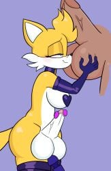 animated anthro ball_fondling ball_grab ball_sniffing ball_worship balls bodily_fluids breasts canid canine canis cum domestic_dog duo ejaculation fondling genital_fluids genitals gynomorph herm hi_res hunting_dog intersex intersex/male male male/male mammal miles_tails_prower musk orgasm_from_sniffing penile penis penis_sniffing rule_63 scent scent_hound scent_play sega sex_toy smelling_balls smelly smelly_balls sniffing sonic_(series) sonic_the_hedgehog_(series) steam tails_the_fox vibrator vibrator_on_balls vibrator_on_penis wand_vibrator worship