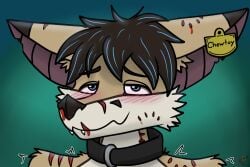 ambiguous_gender andromorph_(lore) anthro bat bat_ears bat_nose bite_mark bite_marks_all_over blood blush bodily_fluids canid canine collar ear_piercing ear_tag fox gradient_background half-closed_eyes hybrid kiba_(crescentwolf) mammal metal_fox117 narrowed_eyes nosebleed notched_ear piercing scar shaking simple_background solo trembling