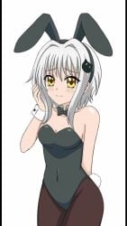 blush bunny_ears bunny_tail bunnysuit hfxpins high_school_dxd koneko_toujou small_breasts white_hair