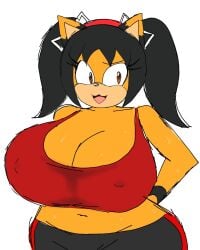 1girls 2024 black_hair breasts brown_eyes cat_ears catgirl chubby_female erect_nipples erect_nipples_under_clothes female female_only furry_female gym_clothes honey_the_cat huge_breasts leggings momiji_(artist) nekogirl ponytail sega solo sonic_(series) sonic_the_fighters sports_bra sweat_stain sweaty_female