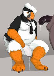 anthro avian balls bird cum cum_in_mouth cum_inside duo male oral penis puffin seth-iova yaoi