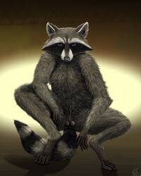 1boy 2016 animal_genitalia balls crouching emptyset fluffy looking_at_viewer male male_only mammal nude raccoon realistic reven_(character) sheath solo spread_legs spreading