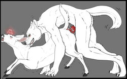 animal_genitalia animal_penis anthro anthro_on_feral anus backlash91 bite black_nose canine canine_penis cervine claws deer digitigrade ears_back fangs female feral from_behind_position green_eyes grey_background grin heart hooves knot male male_on_feral mammal neck_bite open_mouth penetration penis predator/prey pussy raised_tail restricted_palette sex simple_background straight tail teeth tongue vaginal_penetration wolf zoophilia