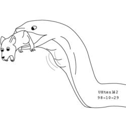 duo feet_first feral feral_pred feral_prey larger_pred male male/male mammal murid murine nude_pred nude_prey oral_vore partially_inside rat reptile rodent scalie scared size_difference snake struggling struggling_prey teeth unwilling_pred unwilling_prey urbanhermit vore