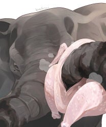 chicken color elephant hikaru_ga_shinda_natsu hikaru_indou the_summer_hikaru_died yoshiki_tsujinaka