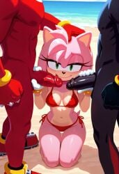 ai_generated amy_rose beach bikini black_fur cum_on_breasts knuckles_the_echidna pink_fur red_fur shadow_the_hedgehog sonic_(series) threesome