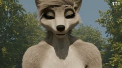 3d athletic_female cowgirl_position cuckquean dark_fur dominant_anthro dominant_female female_fox female_on_top first_person_perspective first_person_view forest forest_background fox front_view furry furry_breasts furry_ears furry_female furry_with_non-furry grey_fur hmofa human human_on_anthro human_penetrating in_public light-skinned_male light_fur looking_at_viewer looking_down looking_down_at_viewer observing outdoors pov pov_eye_contact pov_male riding riding_cock riding_penis tagme video virtual_reality vr vr34studio