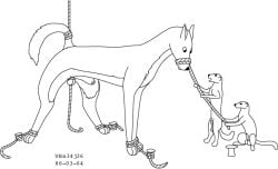 Animal Genitalia Rule 34 Image