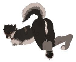 anthro anthro_male anthro_only artist:skunknot ass ass_focus ass_up asshole balls bite bite_mark bite_marks blush blushing blushing_at_viewer bondage canine cum cum_in_ass furry furry_male furry_only muzzled pawpads paws rope rope_bondage tail tied_arms tied_muzzle tied_up wolf
