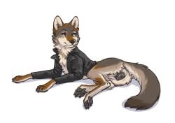 animal_genitalia animal_vulva canid canine canine_genitalia canine_vulva canis clothed clothing coyote digital_media_(artwork) feet female feral fur genitals jacket looking_at_viewer lying mammal niffad open_clothing open_jacket open_topwear pawpads paws simple_background smile solo tail toes topwear vulva